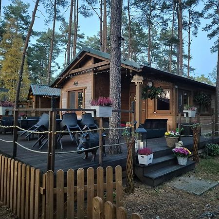 Dzik W Zagrodzie Borsk Exterior foto
