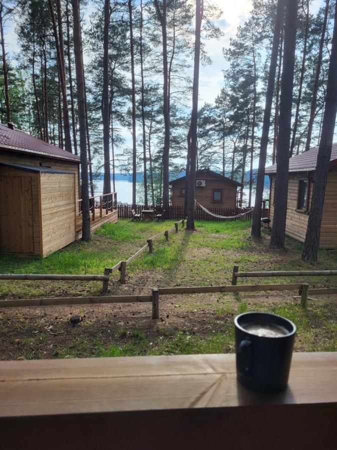 Dzik W Zagrodzie Borsk Exterior foto