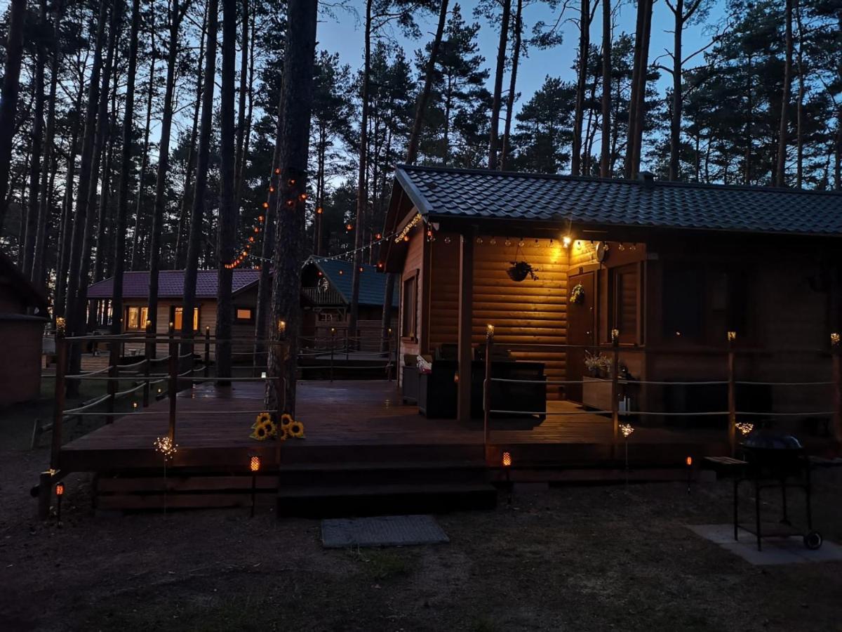 Dzik W Zagrodzie Borsk Exterior foto