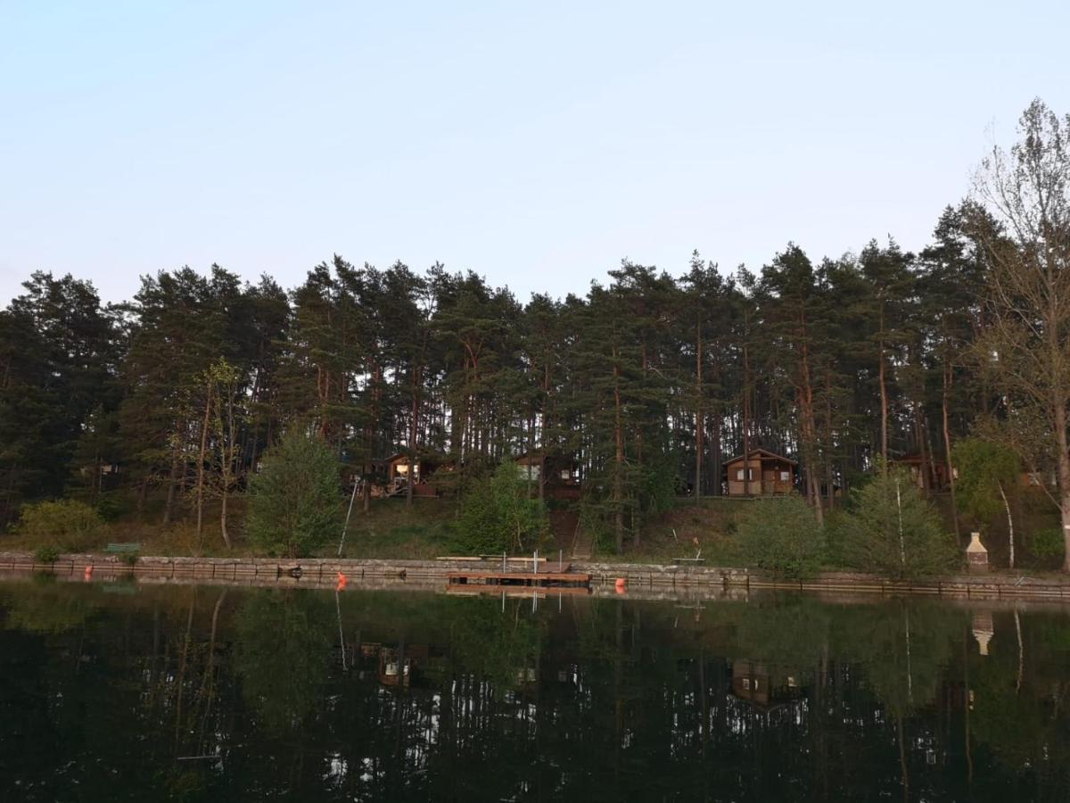 Dzik W Zagrodzie Borsk Exterior foto
