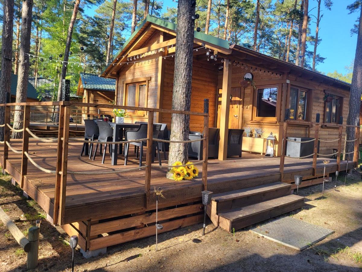 Dzik W Zagrodzie Borsk Exterior foto