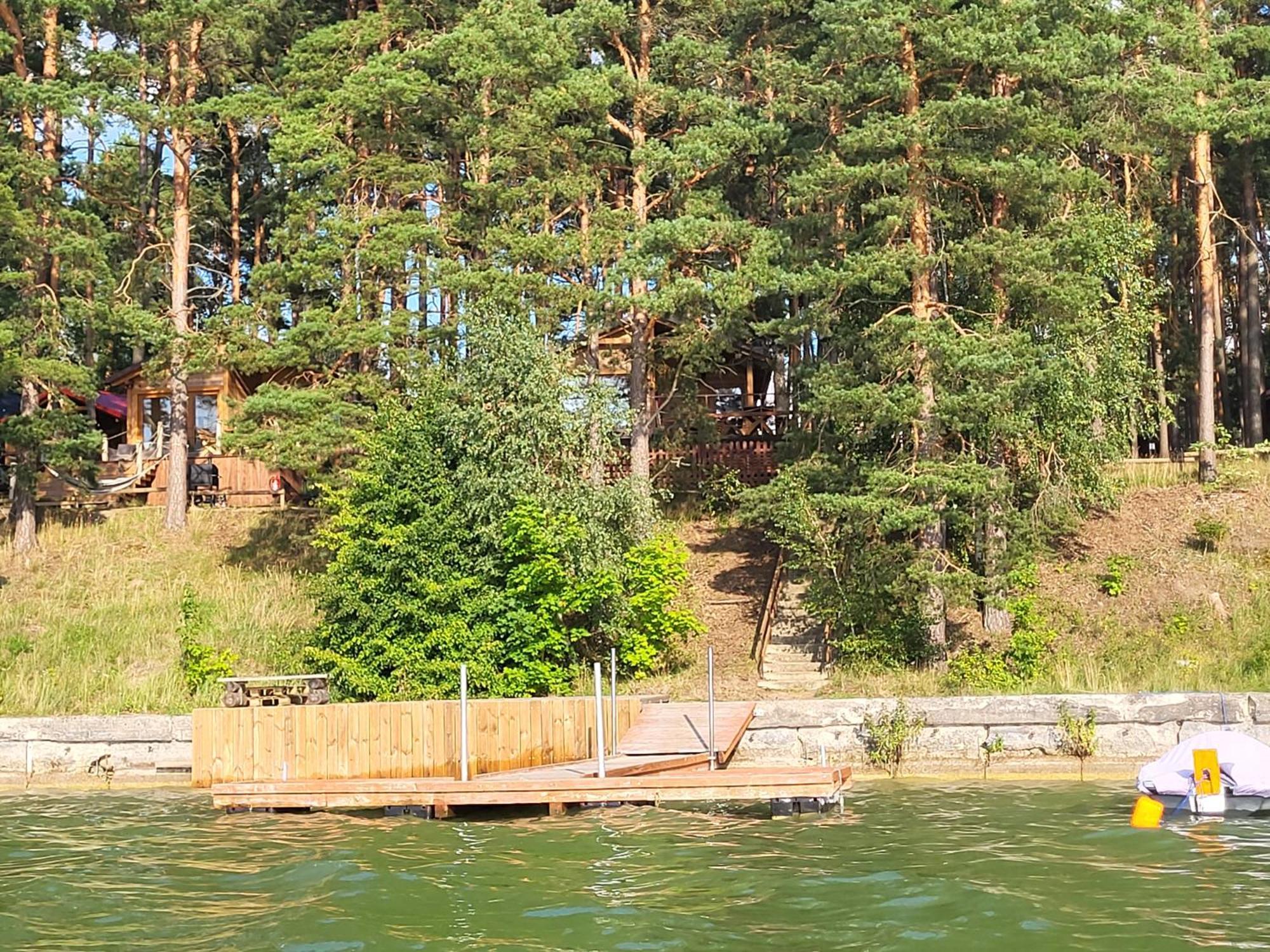 Dzik W Zagrodzie Borsk Exterior foto
