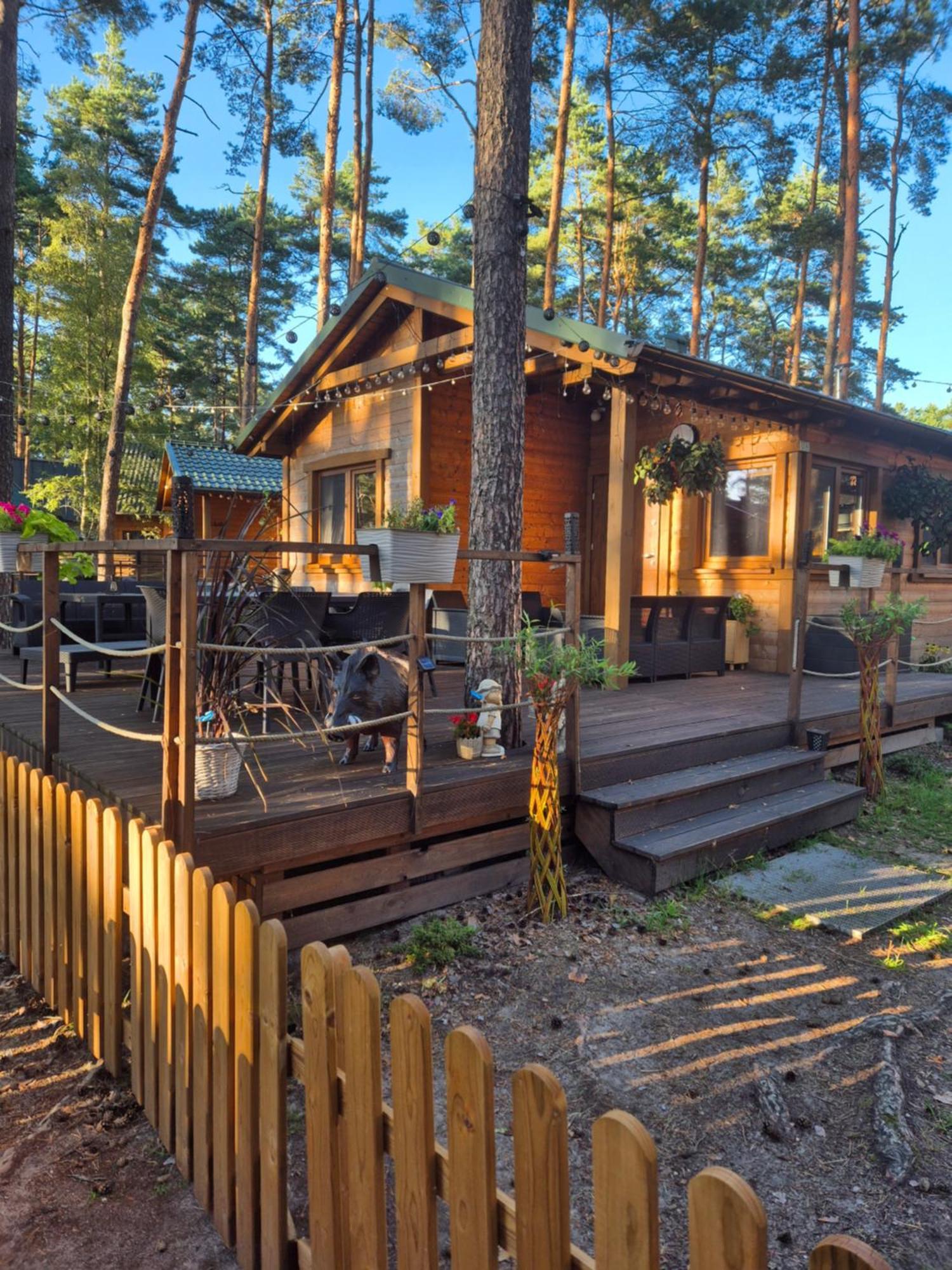 Dzik W Zagrodzie Borsk Exterior foto