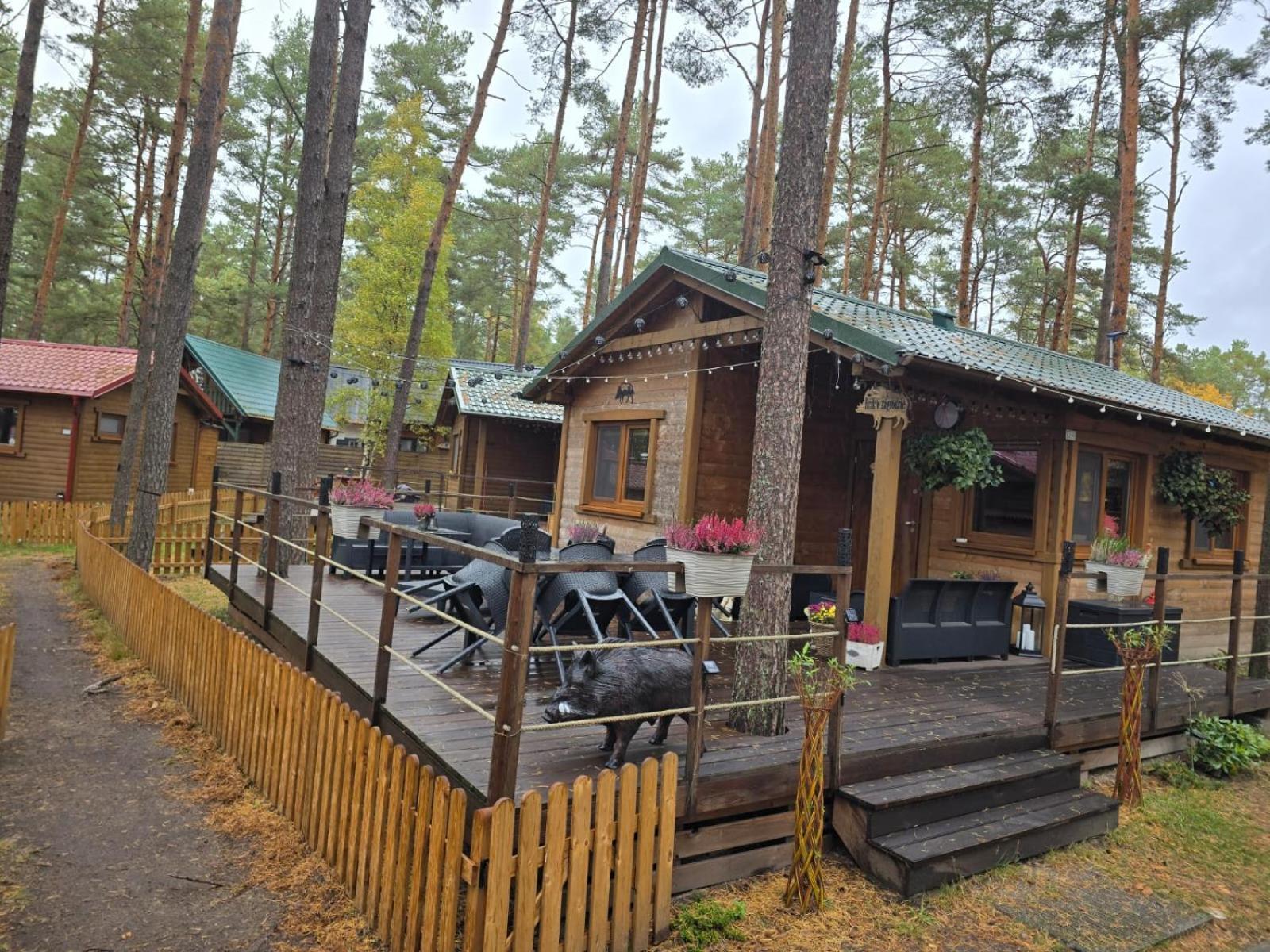 Dzik W Zagrodzie Borsk Exterior foto