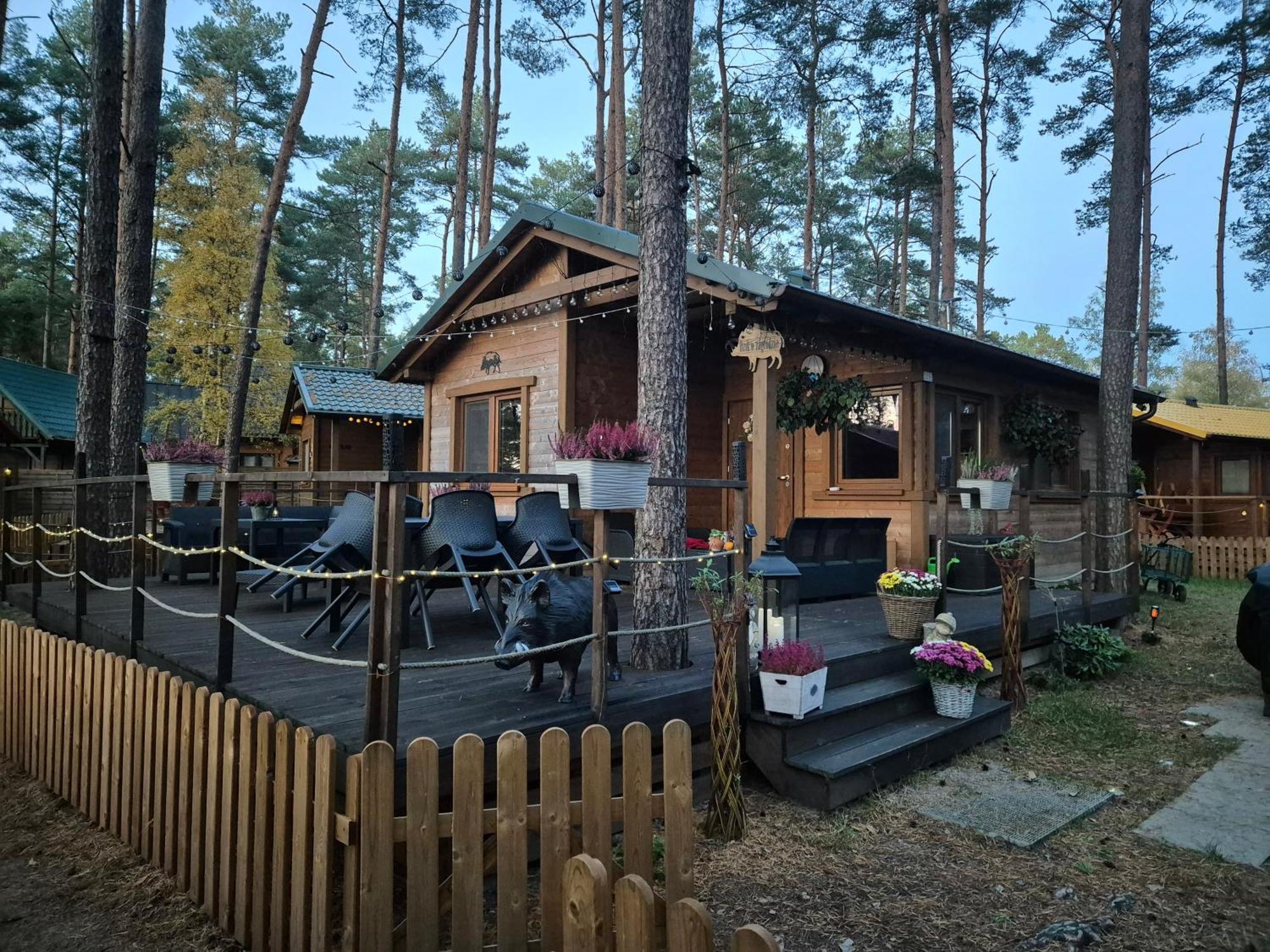 Dzik W Zagrodzie Borsk Exterior foto